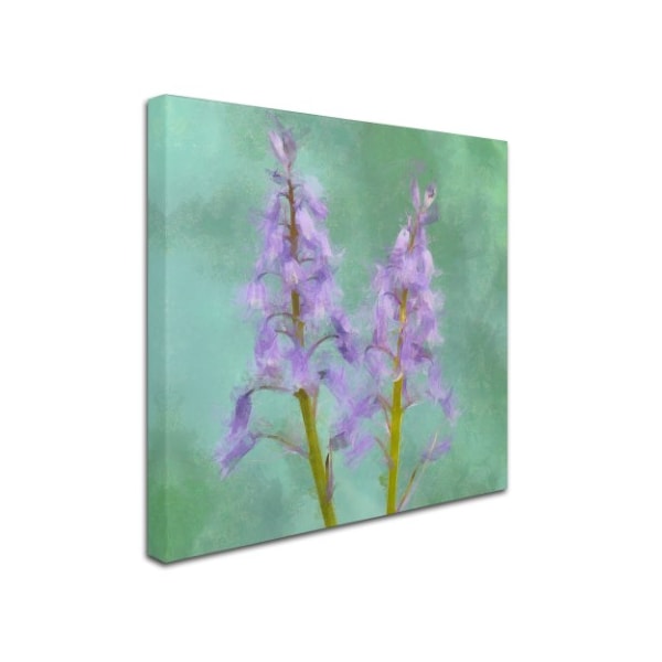 Cora Niele 'Blue Bells' Canvas Art,18x18